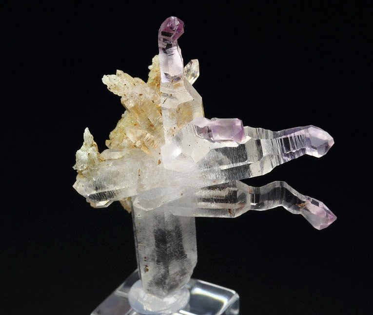 reverse scepter QUARTZ