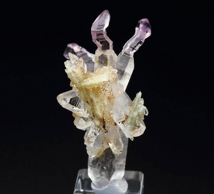 reverse scepter QUARTZ