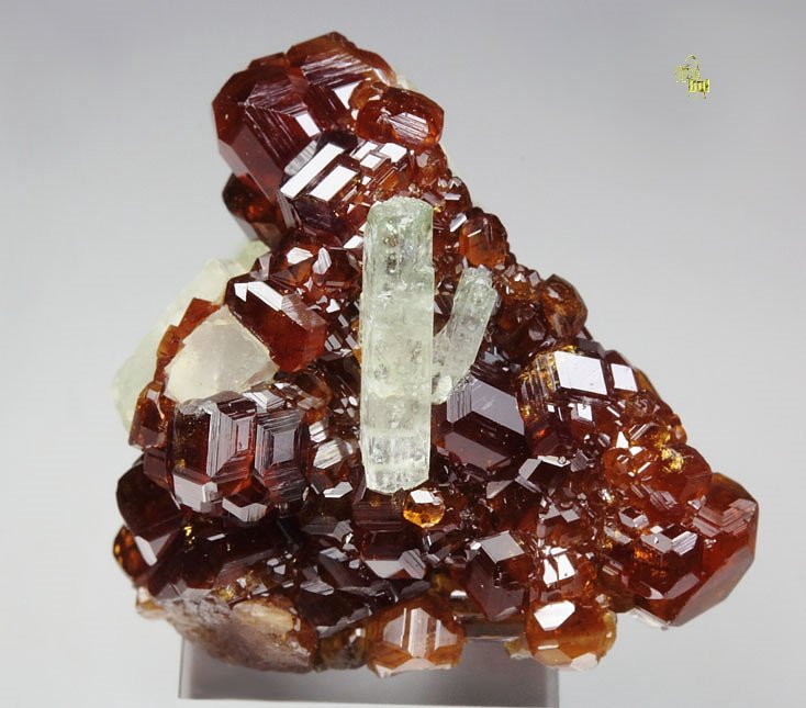 gem GARNET var. HESSONITE, DIOPSIDE