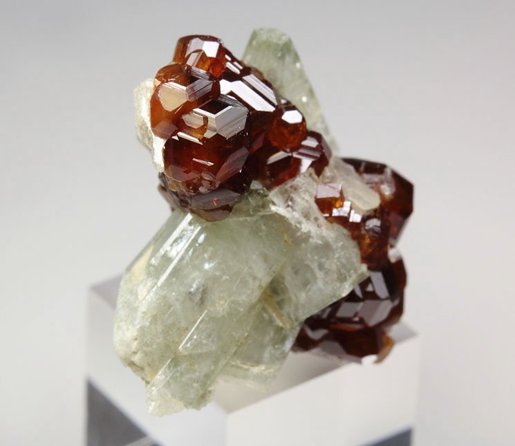 gem GARNET var. HESSONITE, DIOPSIDE