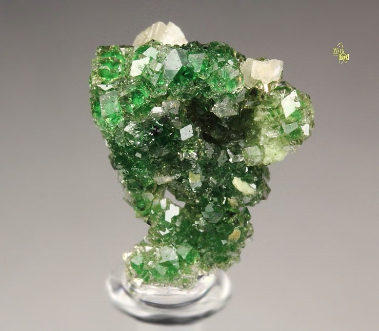 gem GARNET var. GROSSULAR with GREEN CHROMIAN PHANTOMS, PREHNITE