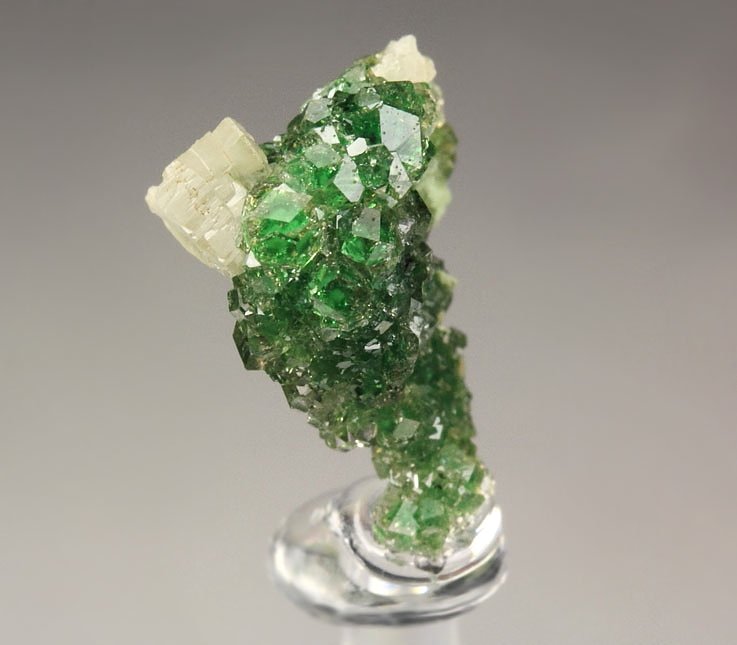 gem GARNET var. GROSSULAR with GREEN CHROMIAN PHANTOMS, PREHNITE