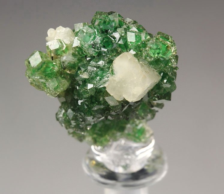 gem GARNET var. GROSSULAR with GREEN CHROMIAN PHANTOMS, PREHNITE