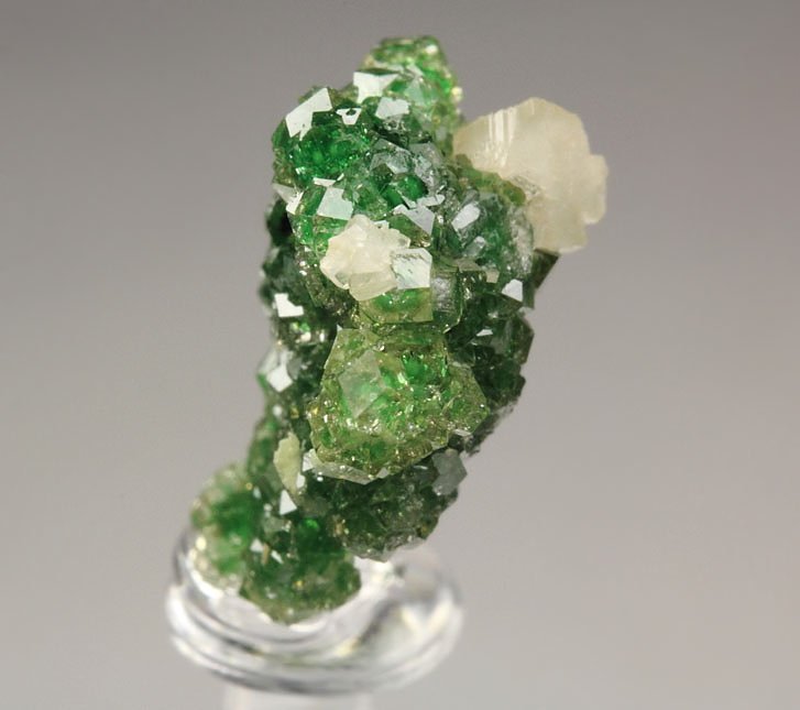 gem GARNET var. GROSSULAR with GREEN CHROMIAN PHANTOMS, PREHNITE