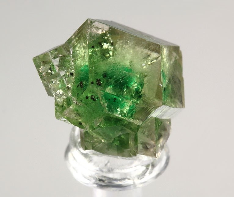 gem GARNET var. GROSSULAR with GREEN CHROMIAN PHANTOM