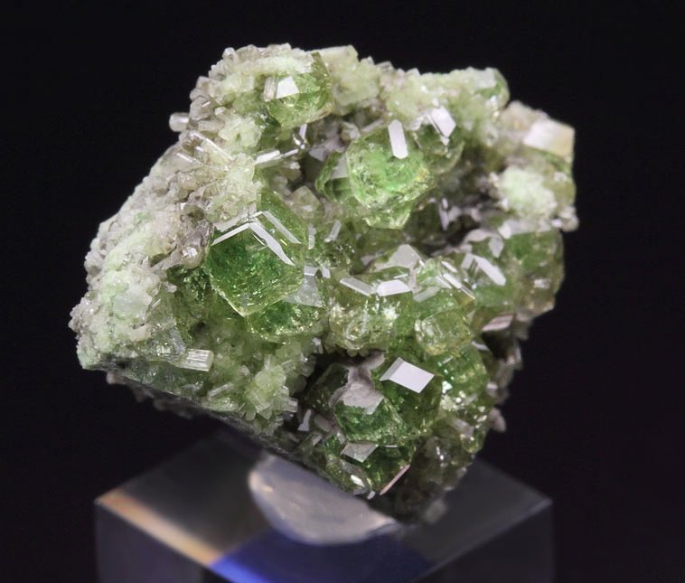 gem GARNET var. GROSSULAR with GREEN CHROMIAN PHANTOMS, DIOPSIDE