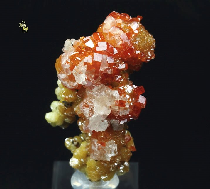 VANADINITE bi-color