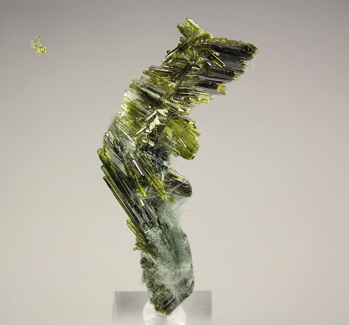 EPIDOTE, AMPHIBOLE GROUP var. BYSSOLITE