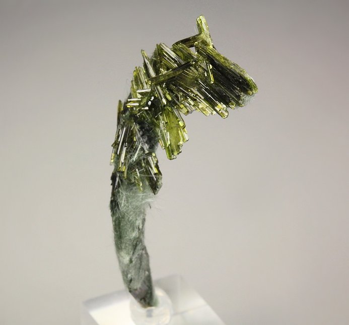 EPIDOTE, AMPHIBOLE GROUP var. BYSSOLITE