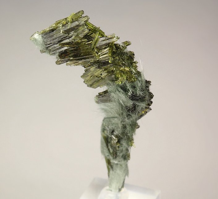 EPIDOTE, AMPHIBOLE GROUP var. BYSSOLITE