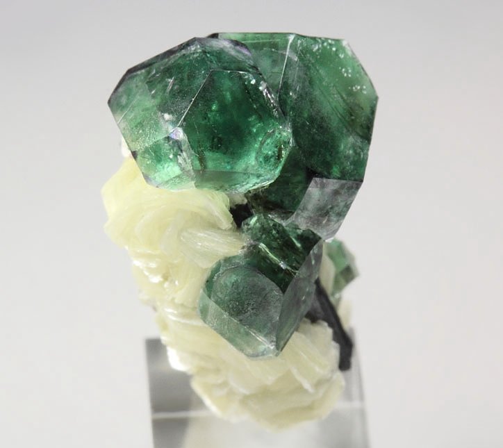 FLUORITE, MUSCOVITE, TOURMALINE var. SCHORL