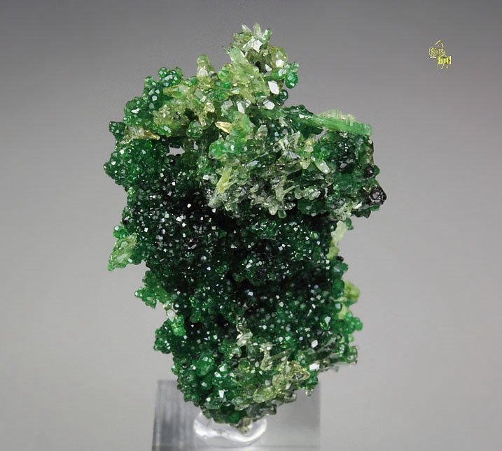 GARNET var. GROSSULAR var. CHROMIAN, DIOPSIDE, CHROMITE