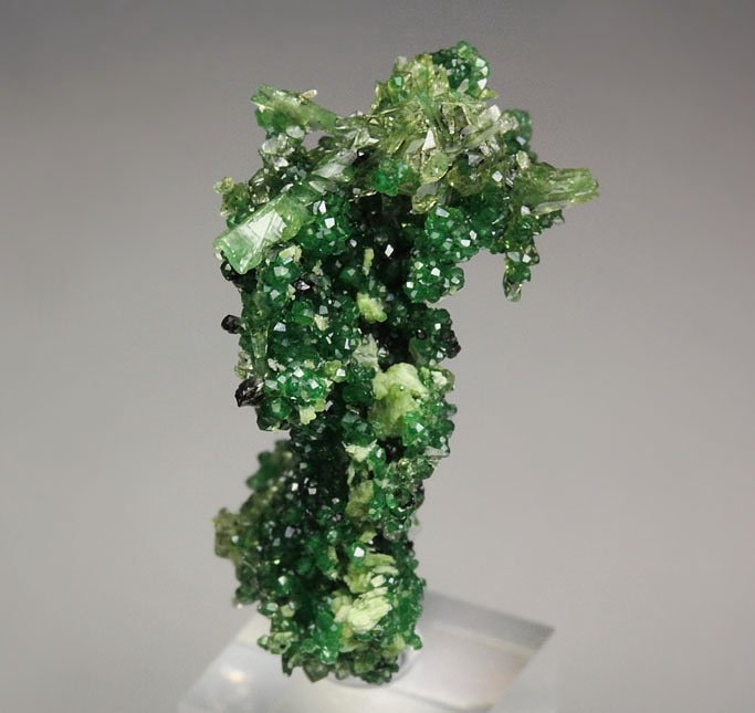 GARNET var. GROSSULAR var. CHROMIAN, DIOPSIDE, CHROMITE