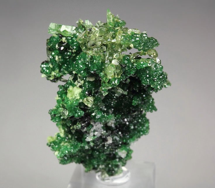 GARNET var. GROSSULAR var. CHROMIAN, DIOPSIDE, CHROMITE