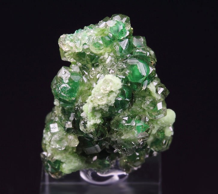 gem GARNET var. GROSSULAR with GREEN CHROMIAN PHANTOMS, DIOPSIDE