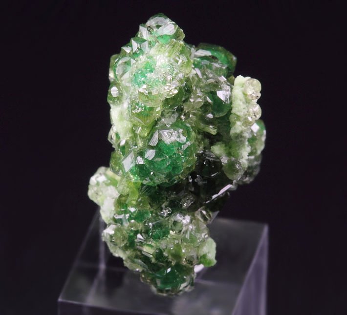 gem GARNET var. GROSSULAR with GREEN CHROMIAN PHANTOMS, DIOPSIDE