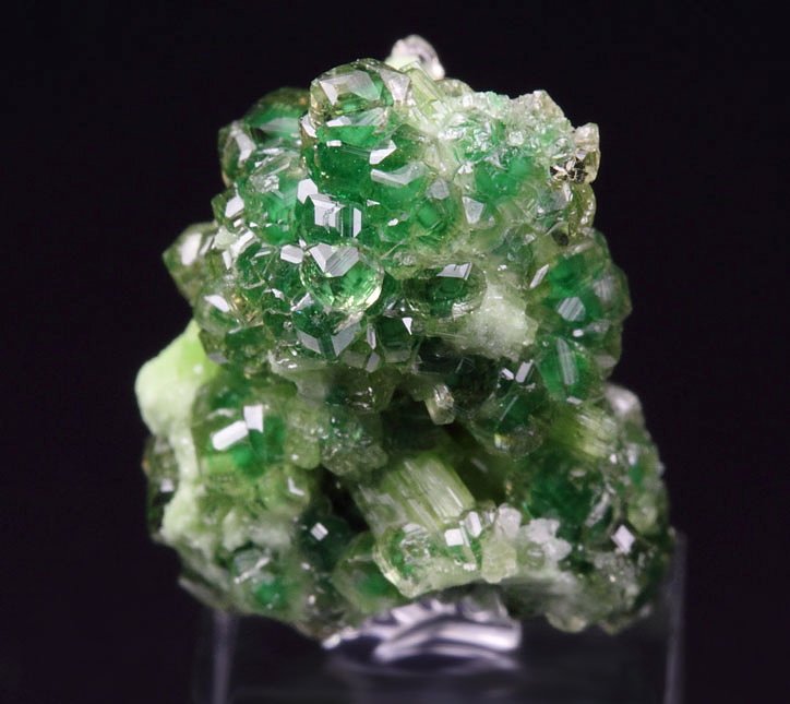 gem GARNET var. GROSSULAR with GREEN CHROMIAN PHANTOMS, DIOPSIDE