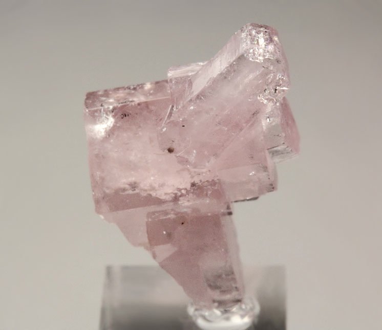 pink gem FLUORAPATITE