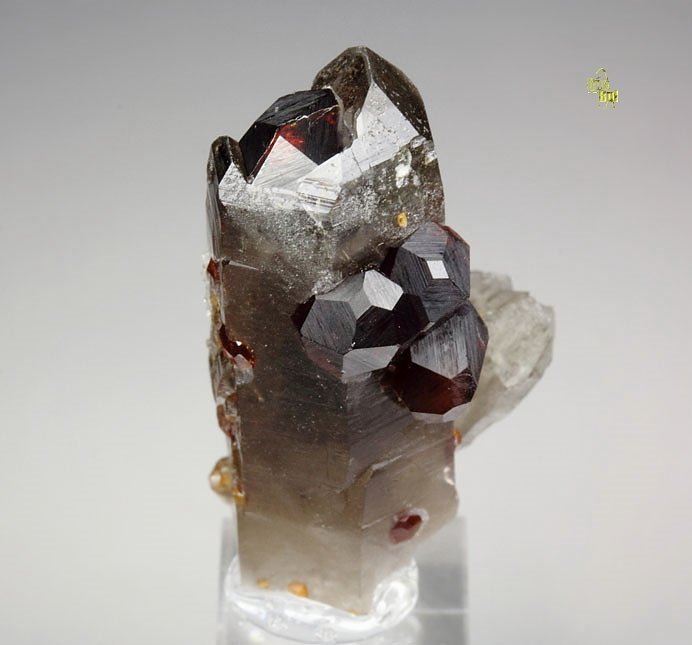 gemmy GARNET var. SPESSARTINE, QUARTZ var. SMOKY