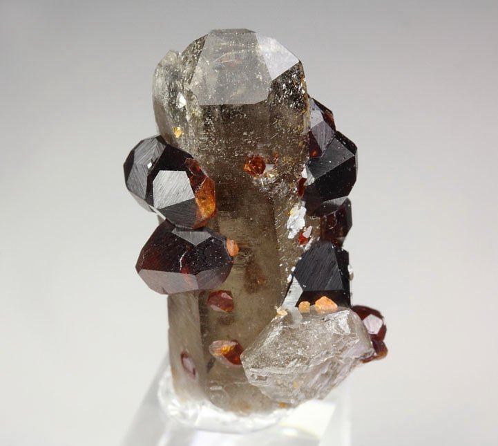 gemmy GARNET var. SPESSARTINE, QUARTZ var. SMOKY