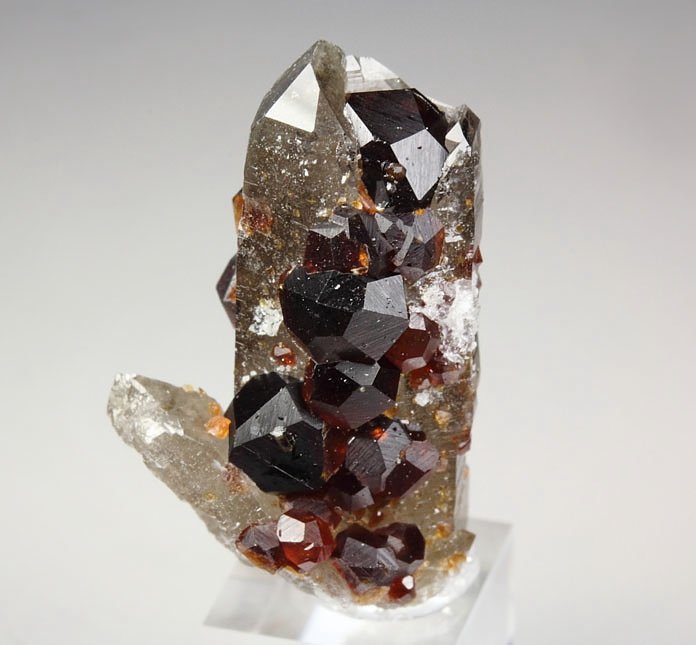 gemmy GARNET var. SPESSARTINE, QUARTZ var. SMOKY