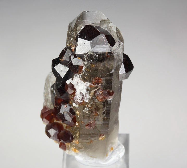 gemmy GARNET var. SPESSARTINE, QUARTZ var. SMOKY