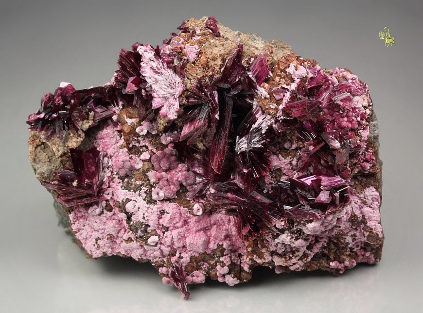 ERYTHRITE two habits