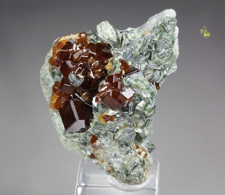 gem GARNET var. HESSONITE, CLINOCHLORE