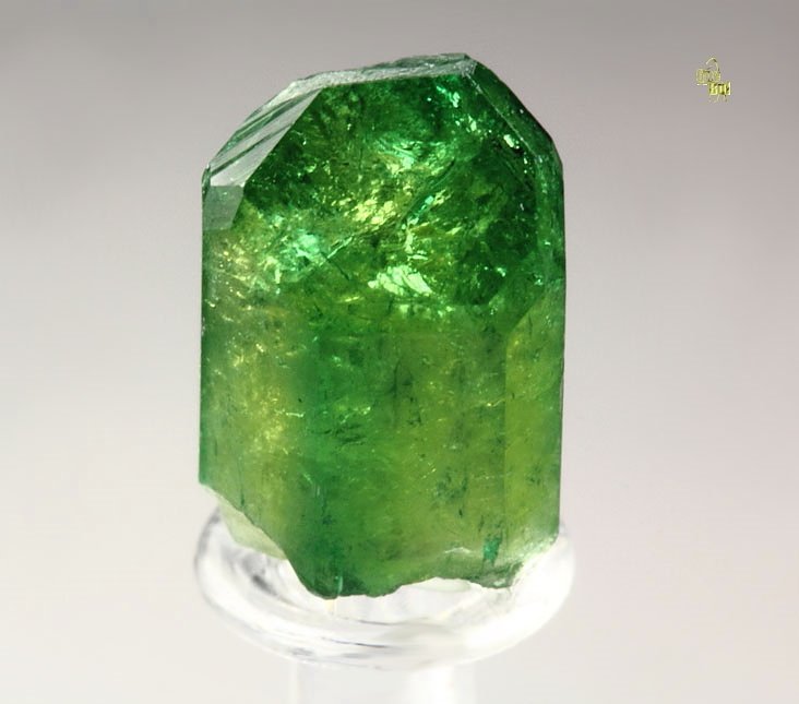 gem VESUVIANITE var. CHROMIAN