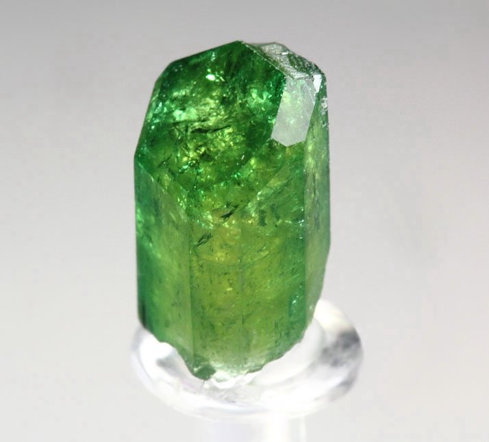 gem VESUVIANITE var. CHROMIAN