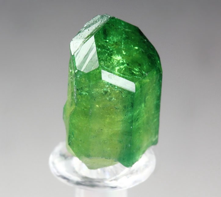 gem VESUVIANITE var. CHROMIAN