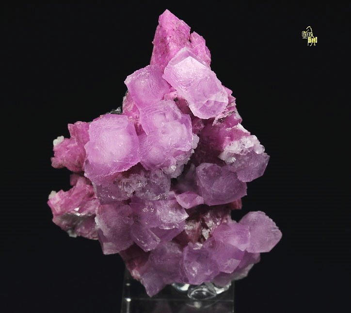 DOLOMITE var. COBALTOAN DOLOMITE, CALCITE var. COBALTOAN CALCITE