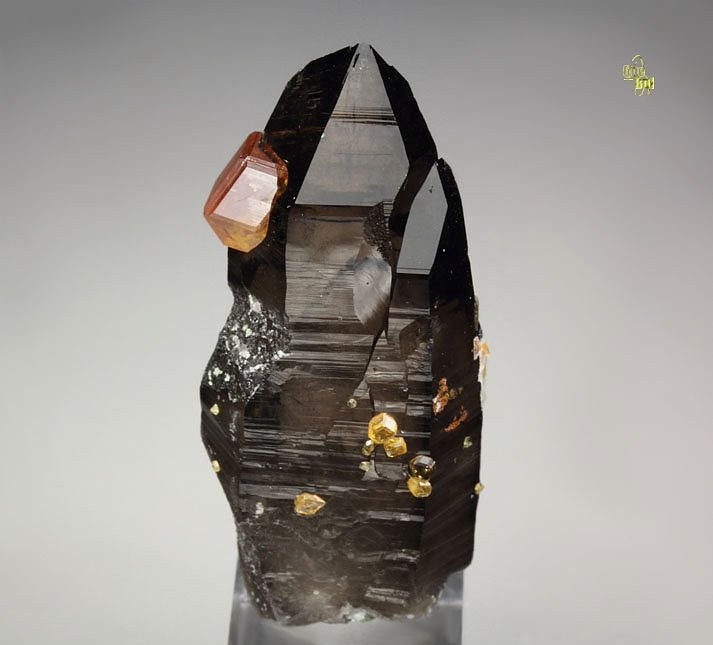 gem GARNET var. SPESSARTINE, QUARTZ var. SMOKY