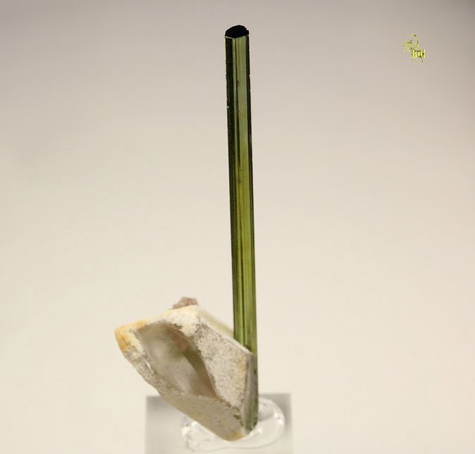 TOURMALINE var. ELBAITE, QUARTZ, LEPIDOLITE