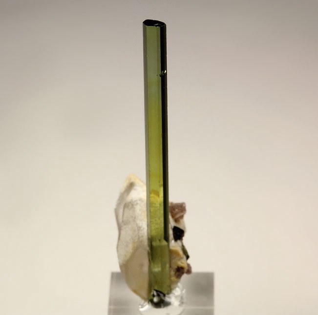 TOURMALINE var. ELBAITE, QUARTZ, LEPIDOLITE