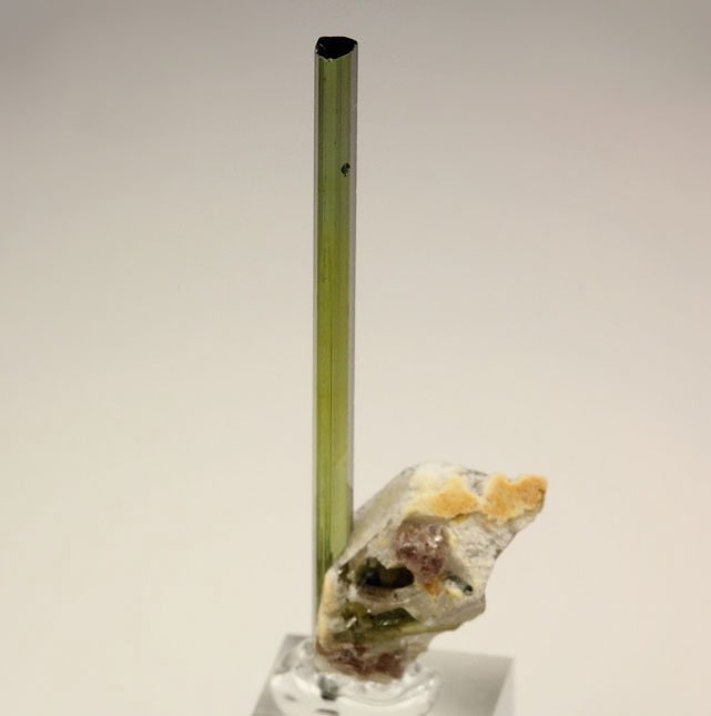 TOURMALINE var. ELBAITE, QUARTZ, LEPIDOLITE