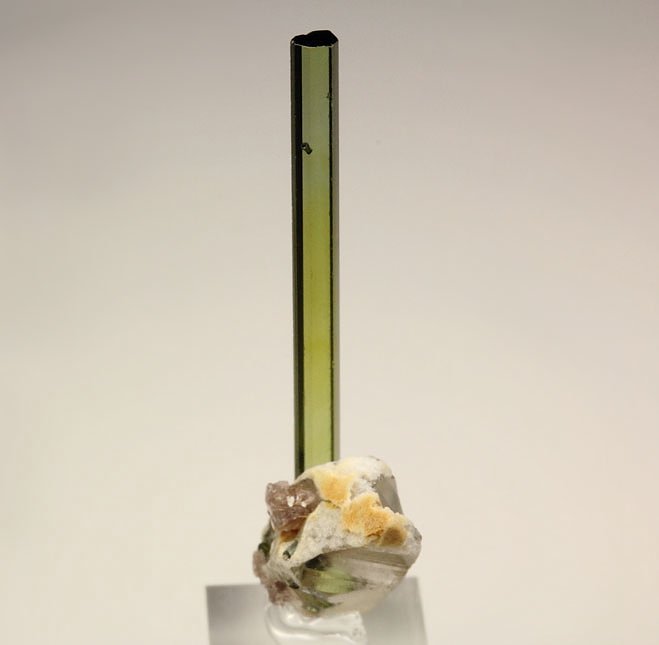 TOURMALINE var. ELBAITE, QUARTZ, LEPIDOLITE