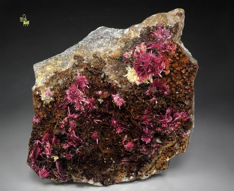 ERYTHRITE, PHLOGOPITE, QUARTZ