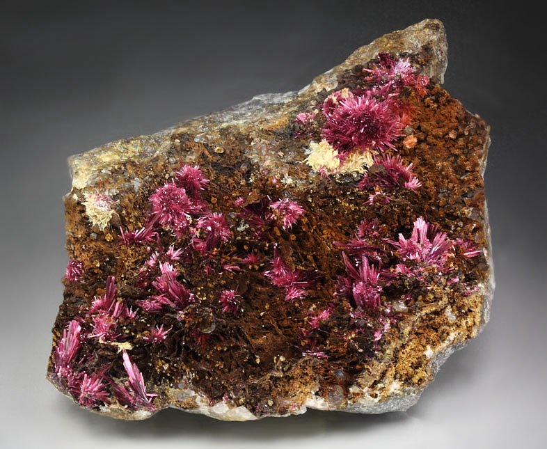 ERYTHRITE, PHLOGOPITE, QUARTZ