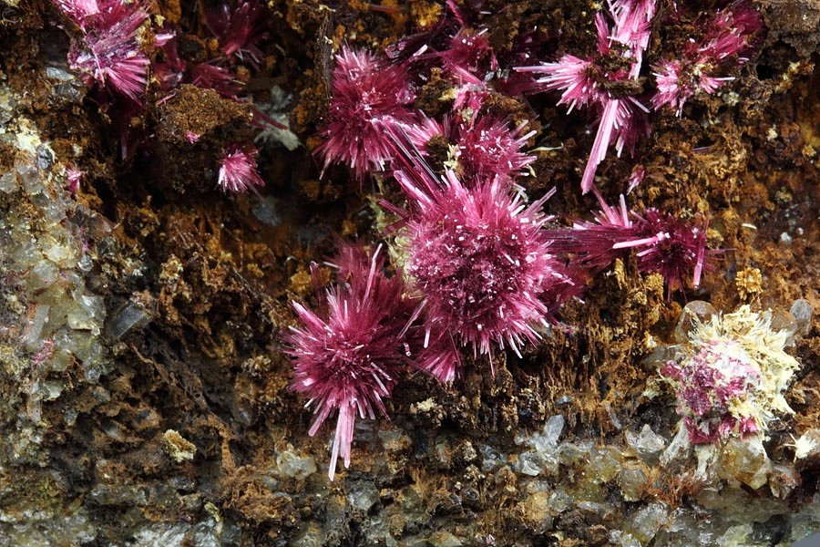 ERYTHRITE, PHLOGOPITE, QUARTZ