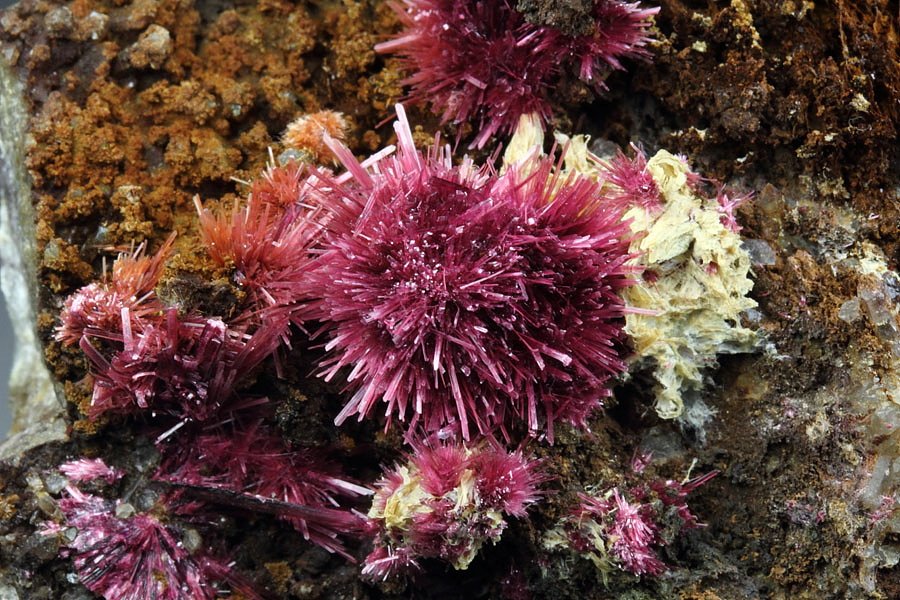 ERYTHRITE, PHLOGOPITE, QUARTZ