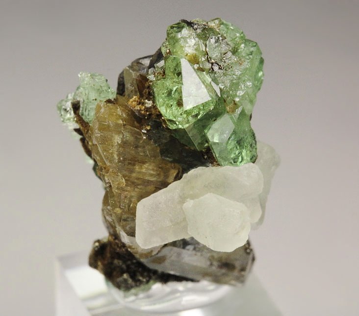 gem GARNET var. GROSSULAR var. TSAVORITE, DIOPSIDE, CALCITE