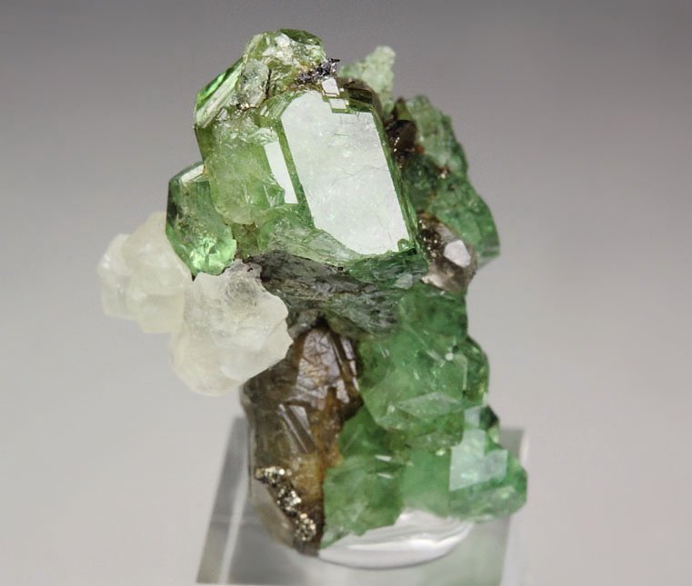 gem GARNET var. GROSSULAR var. TSAVORITE, DIOPSIDE, CALCITE