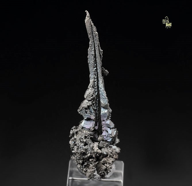 SILVER - SPINEL LAW TWIN floater