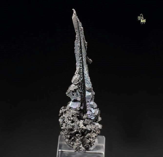 SILVER - SPINEL LAW TWIN floater