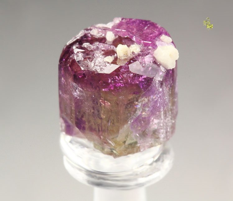 VESUVIANITE var. MANGANOAN, GARNET var. GROSSULAR