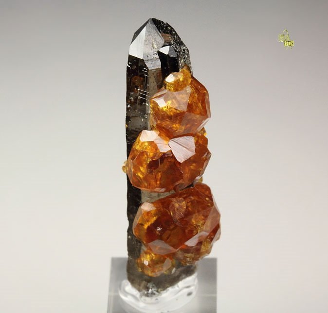 gem GARNET var. SPESSARTINE, QUARTZ var. SMOKY