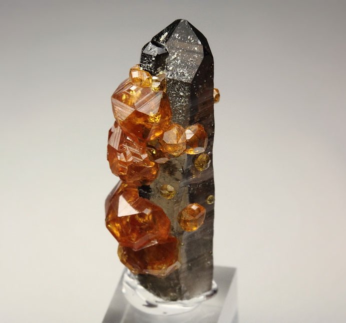 gem GARNET var. SPESSARTINE, QUARTZ var. SMOKY