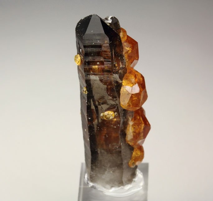 gem GARNET var. SPESSARTINE, QUARTZ var. SMOKY