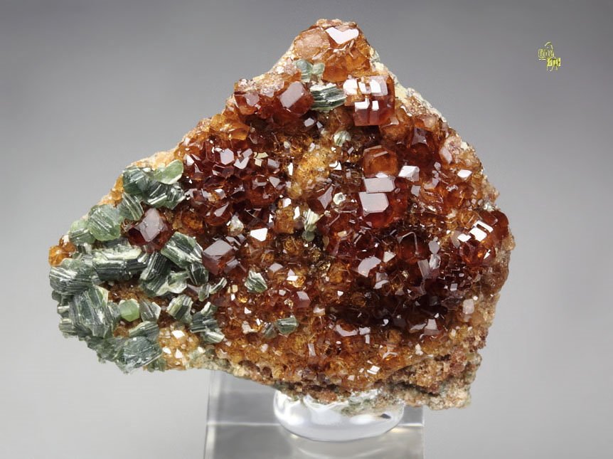 gem GARNET var. HESSONITE, CLINOCHLORE